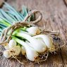 Spring Onions: Top 7 Health Benefits
