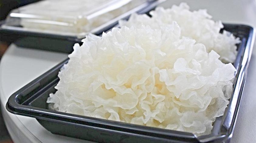 Health Benefits of Snow Fungus with recipes - Keep Fit Kingdom