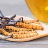Cordyceps Mushroom: Top 3 Health Benefits with Recipes!