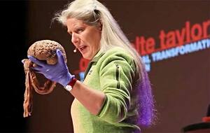 Dr Jill Ted Talk on Teen Brains