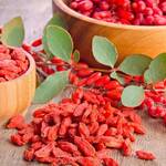 7 Reasons Why You Should Try Taking Berberine Supplements For PCOS KEEP FIT KINGDOM