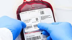 Blood Bag Identification Navigating the Naming Rules KEEP FIT KINGDOM