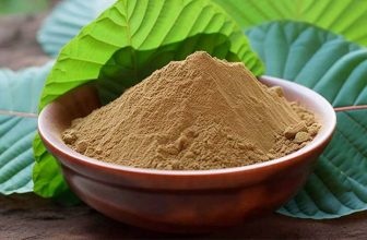 How To Look For Good-Quality Red Dragon Kratom On Sale -KEEP FIT KINGDOM