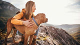 3 Reasons You Should Be Hiking With Your Dog