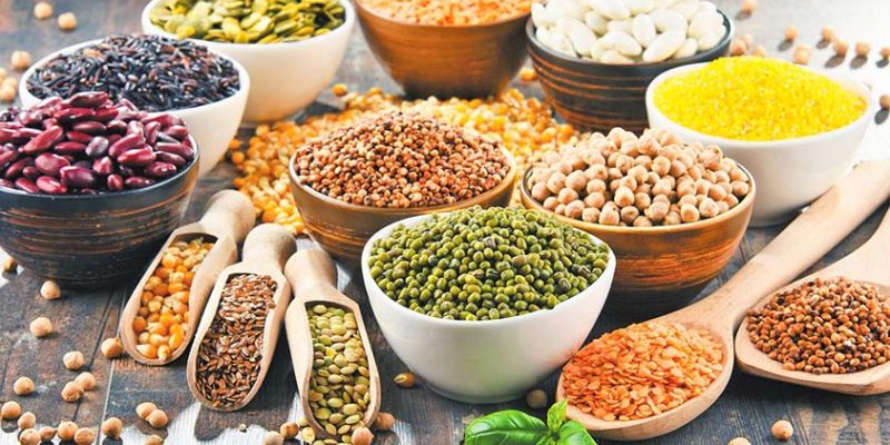 Beans & Legumes: Top 5 High-Protein Varieties You’ll Love!