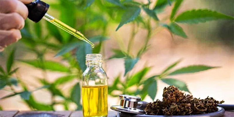 Can You Use CBD Oil for Pain Management?