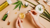 CBD vs. THC vs. CBG vs. CBN Explained: A Beginner’s Guide 