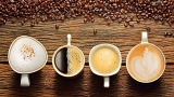 Coffee: 8 Popular Types You’ve Got to Try!