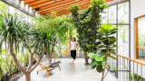 Discover the Top 5 Biophilia Exercises for a Healthier Lifestyle