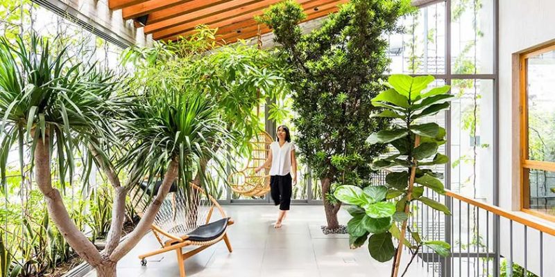 Discover the Top 5 Biophilia Exercises for a Healthier Lifestyle