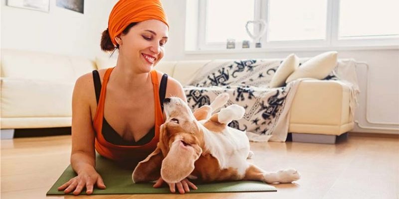 Doga: Doing Yoga with Your Pet Dog