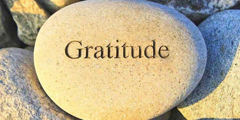 Gratitude 101: What I Learned During the Lockdown