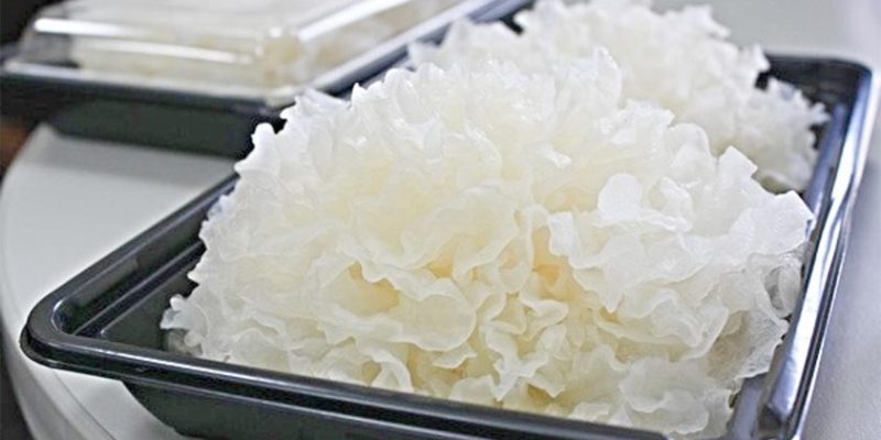 Snow Fungus: Top 4 Health Benefits with Recipes!