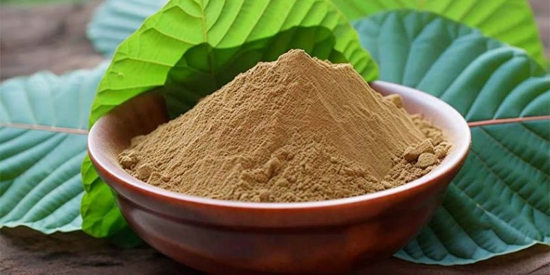 How To Look For Good-Quality Red Dragon Kratom On Sale?