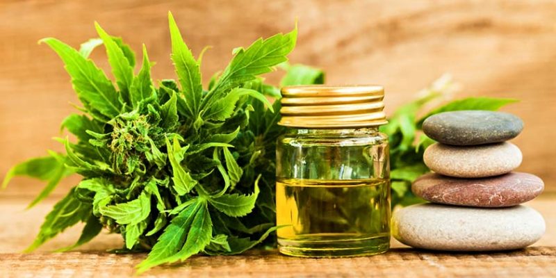 How to Improve Your Fitness with the Help of CBD Oil