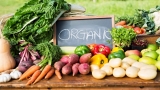 Is It Worth Eating Organic Food?