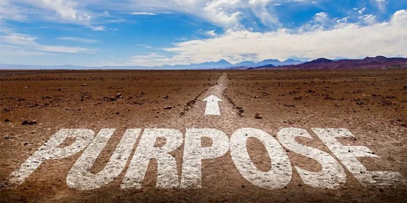 Meaning and Purpose: Why Lacking Them is Dangerous for You!
