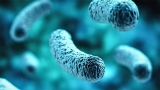 Microbiome: Root of all Chronic Disease?