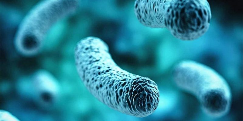 Microbiome: Root of all Chronic Disease?