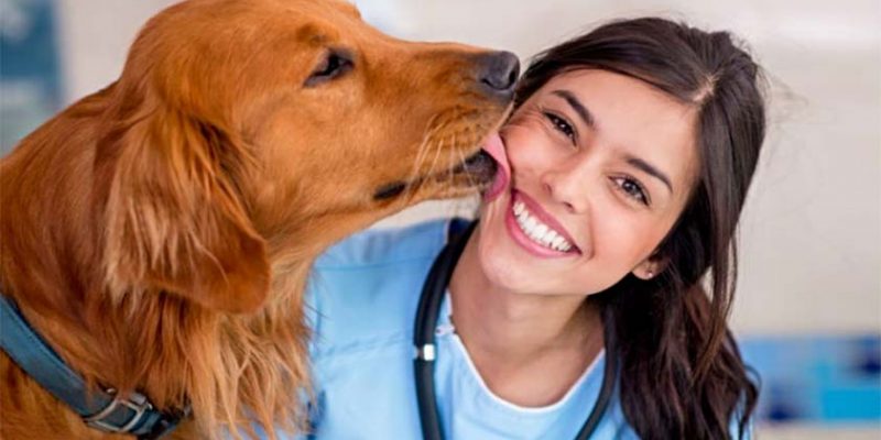 My Journey to Becoming a Veterinarian: My Story