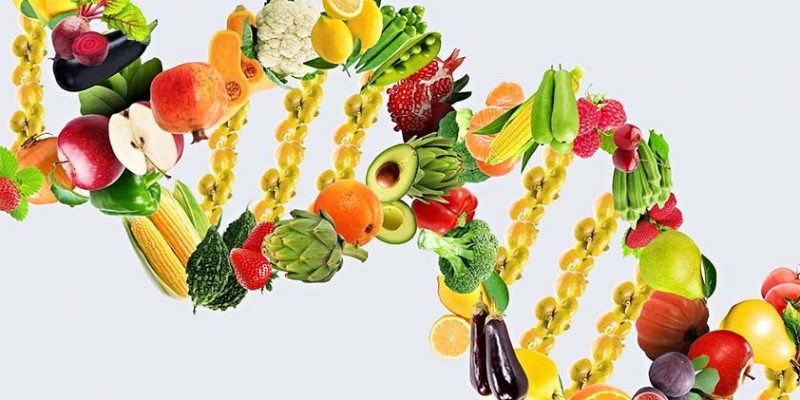 Nutrigenomics: A Possible Future for Personalized Nutrition?