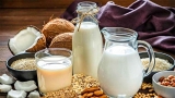 Plant-Based Milk: 5 Delicious Alternatives to Dairy