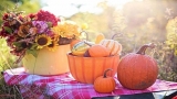 Pumpkin Recipes: 7 Scrumptious Dishes You’ll Love!