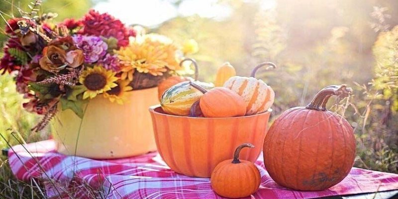 Pumpkin Recipes: 7 Scrumptious Dishes You’ll Love!