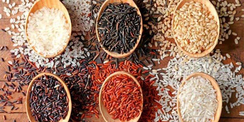 Rice: Learn More About Its Importance in the Human Diet