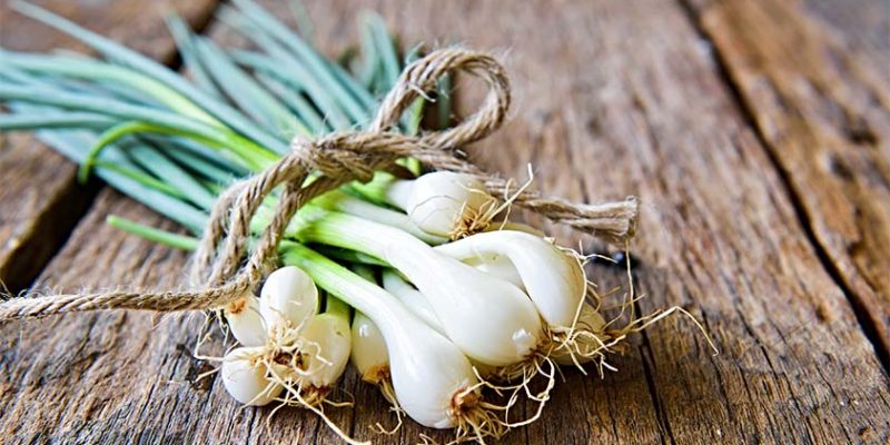 Spring Onions: Top 7 Health Benefits
