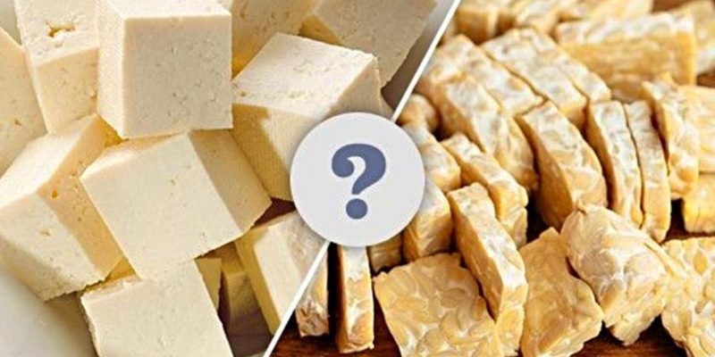 Tofu vs Tempeh: Which is Better?