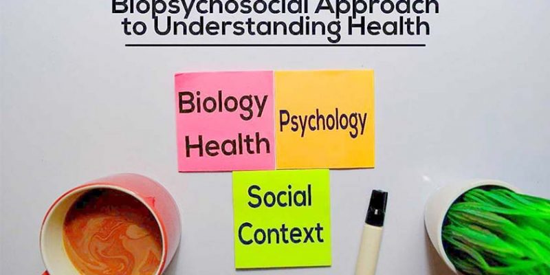 The Biopsychosocial Model: Why Should You Use It?