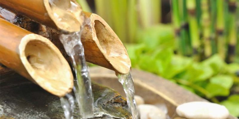 Top 5 Benefits of Drinking Bamboo Water!