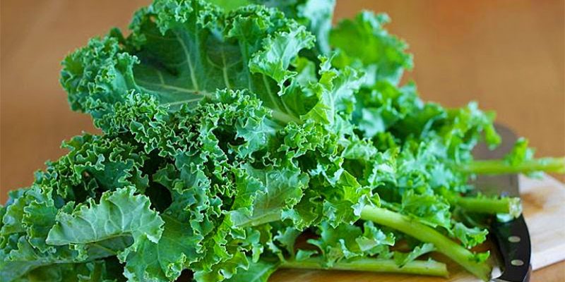 Top 5 Benefits of Kale!