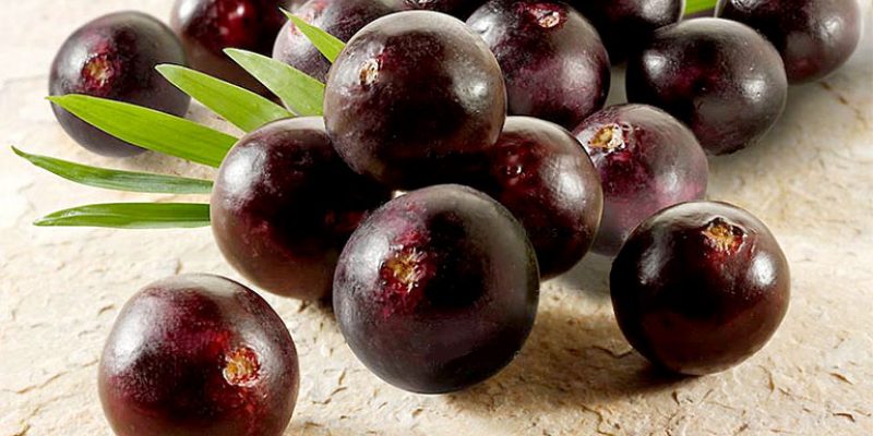 Top 5 Health Benefits of Acai Berries!