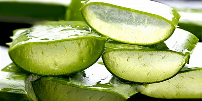 Top 5 Health Benefits of Aloe Vera!
