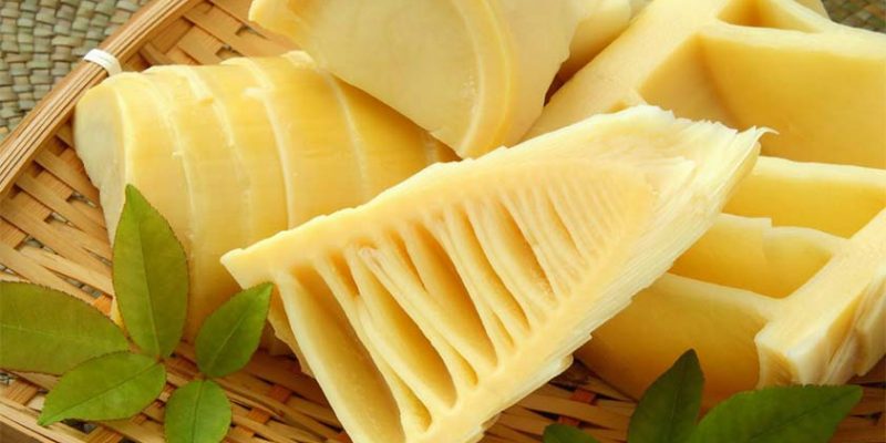 Top 5 Health Benefits of Bamboo Shoots!