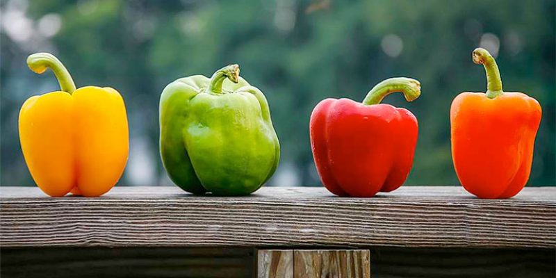Top 5 Health Benefits of Bell Peppers!