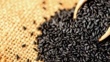 Top 5 Health Benefits of Black Sesame!