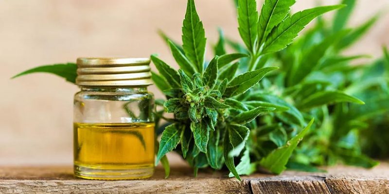 Top 5 Health Benefits of Cannabis Oil!