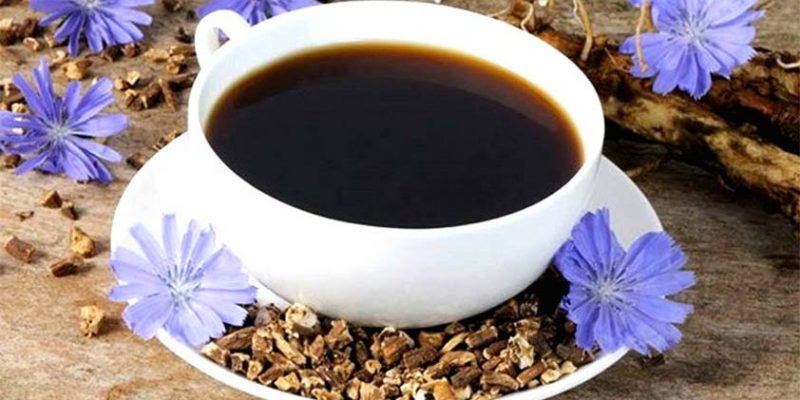Top 5 Health Benefits of Chicory!