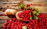 Top 5 Health Benefits of Cranberries!