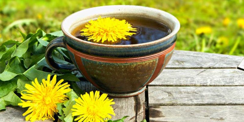 Top 5 Health Benefits of Dandelion Coffee!