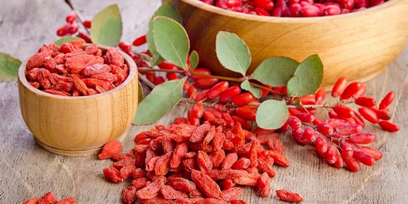 Top 5 Health Benefits of Goji Berries!