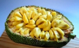 Top 5 Health Benefits of Jackfruit!