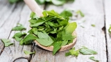 Top 5 Health Benefits of Lovage