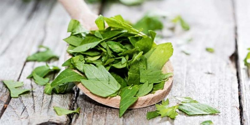 Top 5 Health Benefits of Lovage