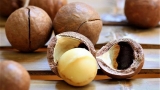 Top 5 Health Benefits of Macadamia Nuts!