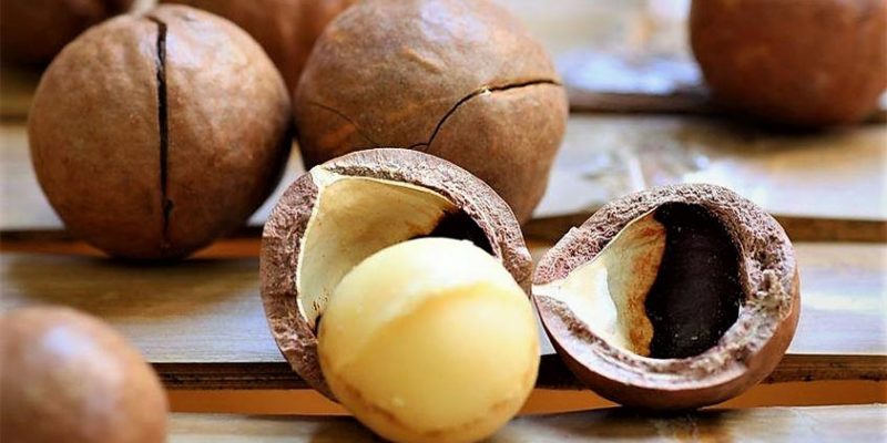 Top 5 Health Benefits of Macadamia Nuts!