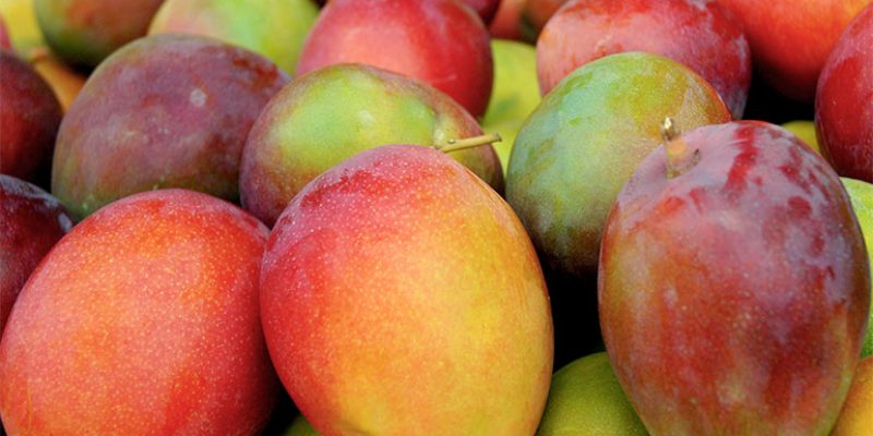 Top 5 Health Benefits of Mango!